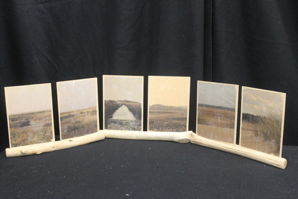 Three wooden stands displaying six photographs, showcasing various scenes of marshland and dunes