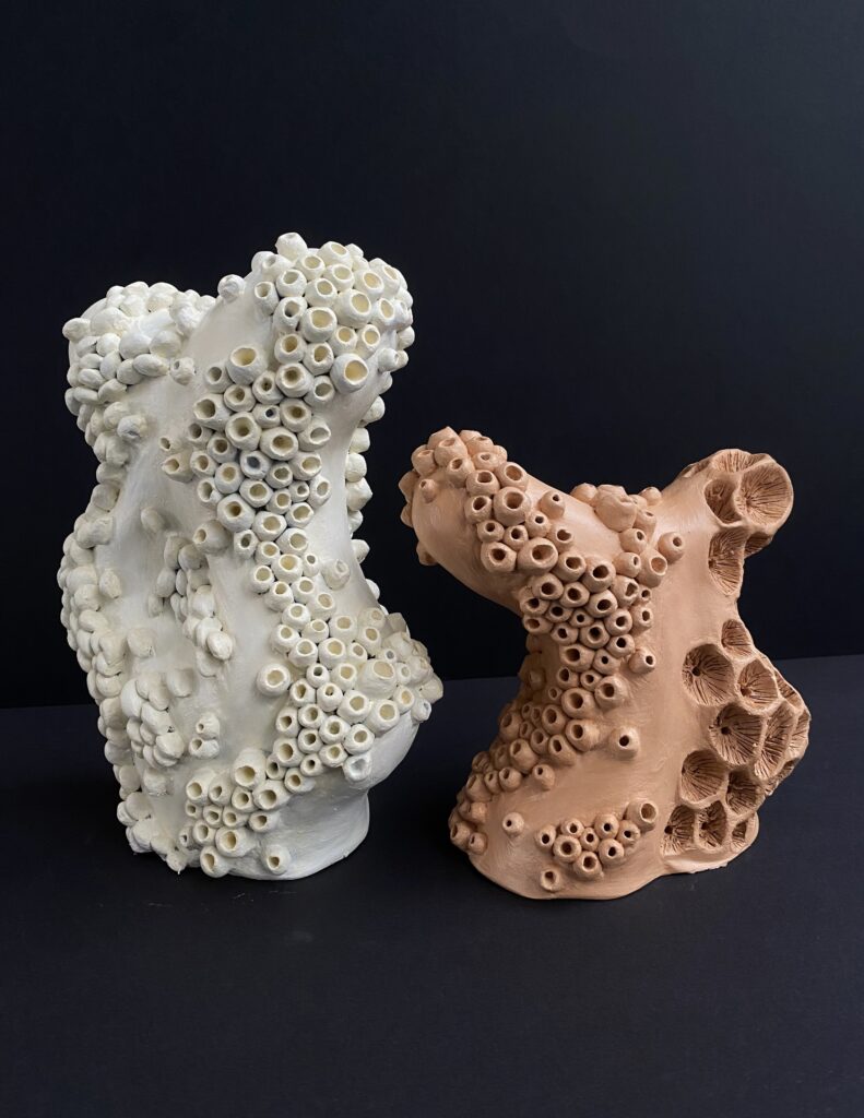 Two organic ceramic sculptures resembling coral forms, one white and one terracotta, exploring texture and negative space.