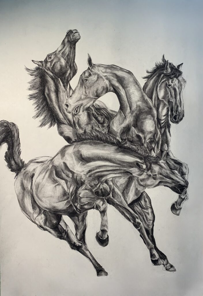 A charcoal drawing on buff paper showing a group of overlapping horses in motion, with detailed anatomy.
